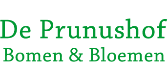 De Prunushof
